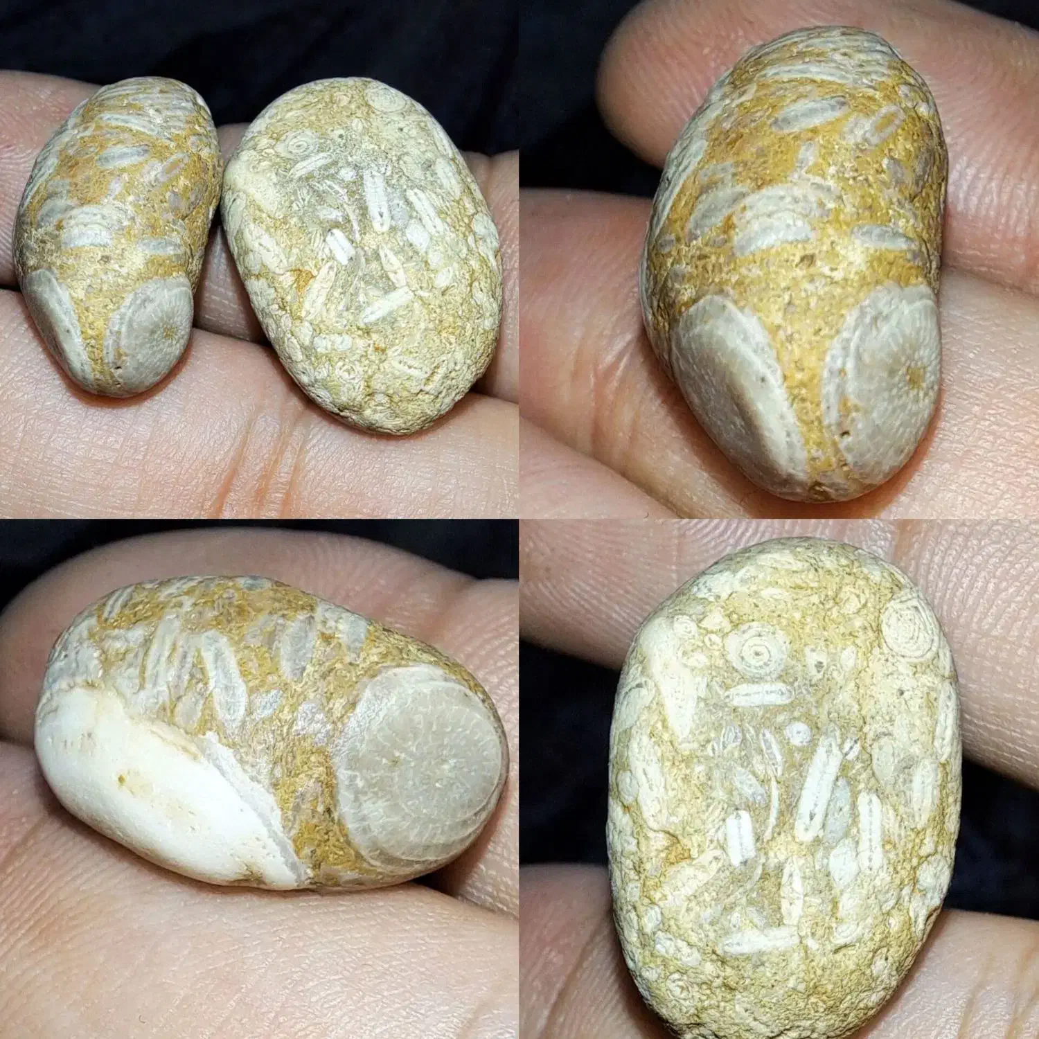 مهره|کلکسیون اشیاء عتیقه|اهواز, کمپلو شمالی|دیوار