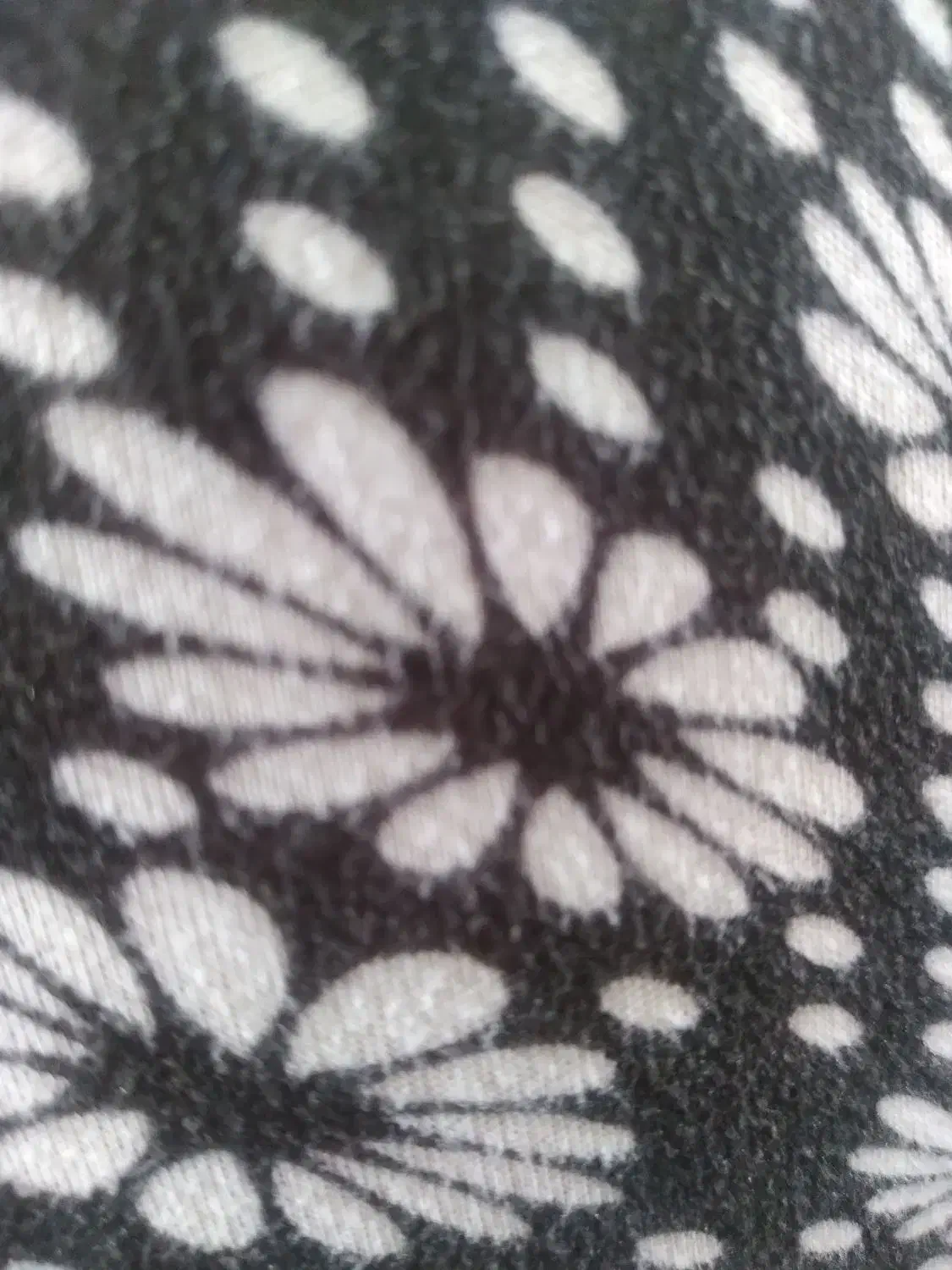 سرویس مدارس|خدمات حمل و نقل|بم, |دیوار