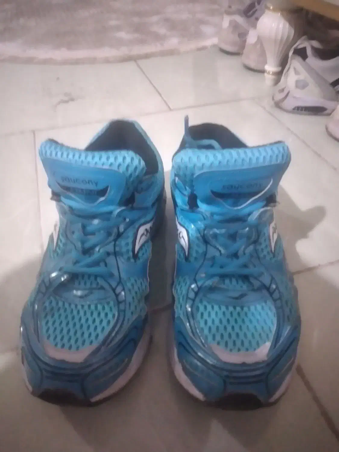 کفش سونی|کیف، کفش، کمربند|اشتهارد, |دیوار