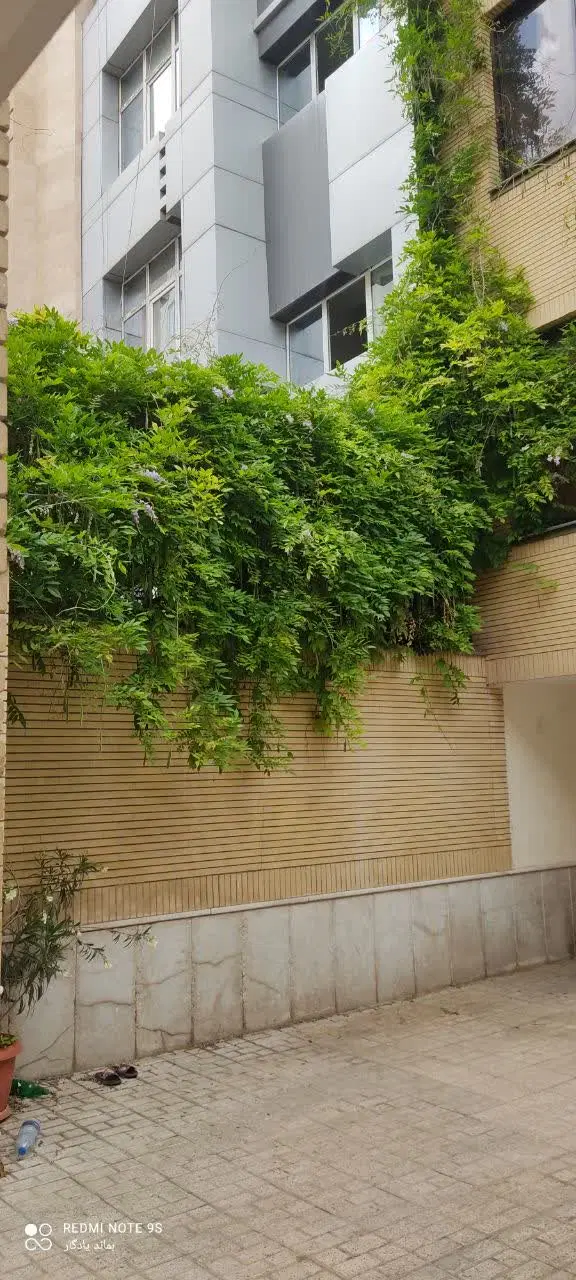 تصویر 8