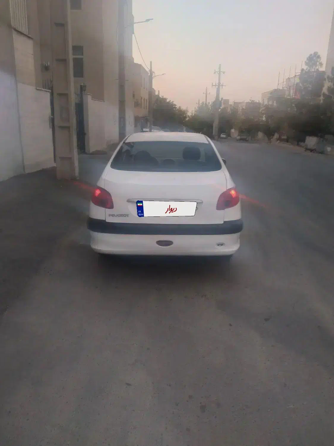 206Sdv8 مدل ۹۴|خودرو سواری و وانت|کرج, کرج نو|دیوار