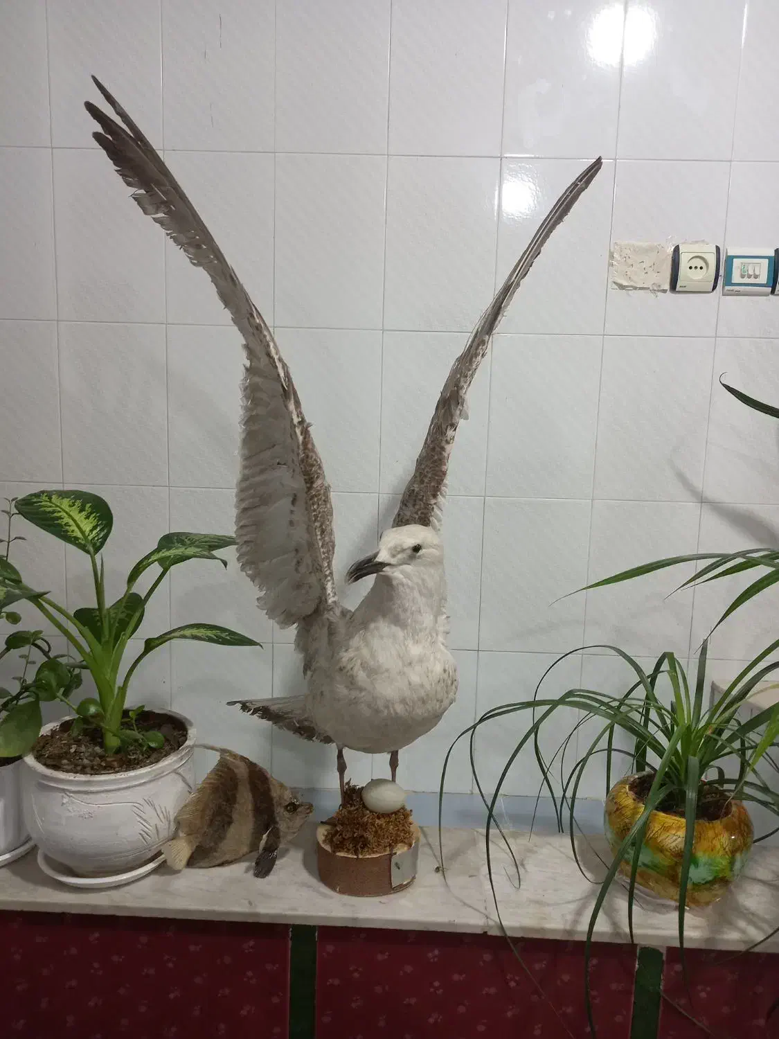 دکور|صنایع دستی و سایر لوازم تزئینی|سنقر, |دیوار