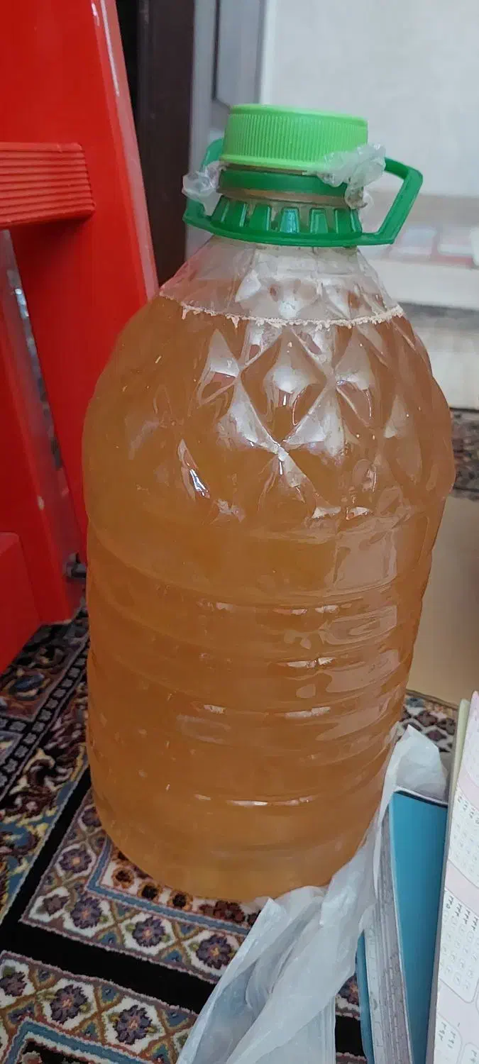 ۴لیتر آبغوره تازه تازه|خوردنی و آشامیدنی|شیراز, تاچارا|دیوار