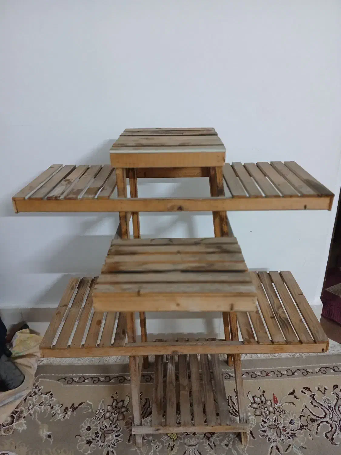 پایه گل|گل و گیاه طبیعی|مشهد, کوی المهدی|دیوار