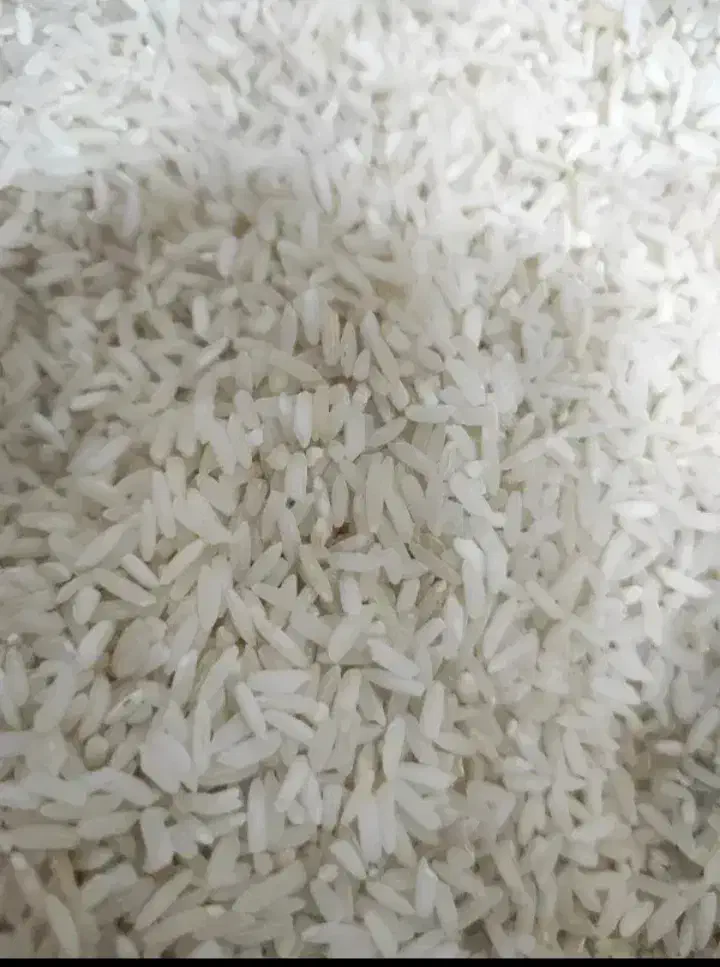 برنج رز فاخر|خوردنی و آشامیدنی|ایلام, |دیوار