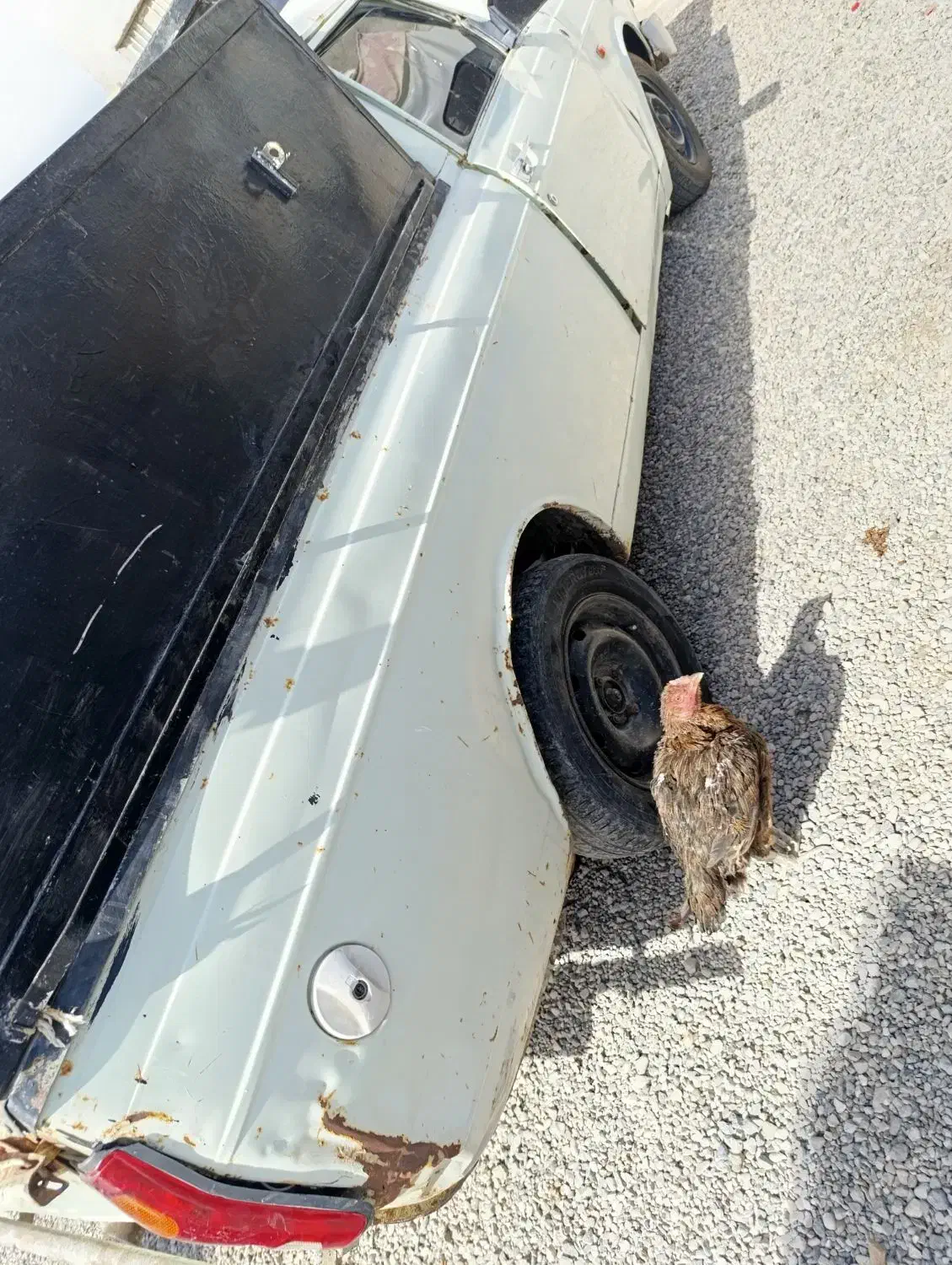 پیکان وانت مدل۹۲ شاسی پ|خودرو سواری و وانت|سیب و سوران, |دیوار