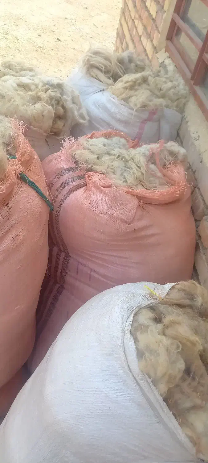 پشم گوسفند|رختخواب، بالش، پتو|ارومیه, |دیوار