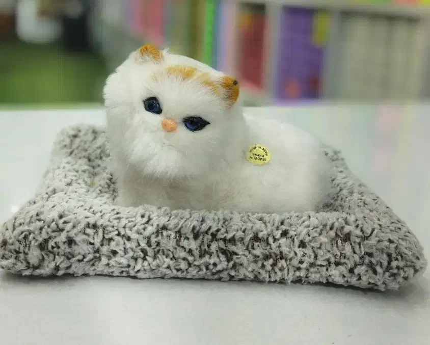 گربه های موزیکال|اسباب‌بازی بچه|یزد, |دیوار