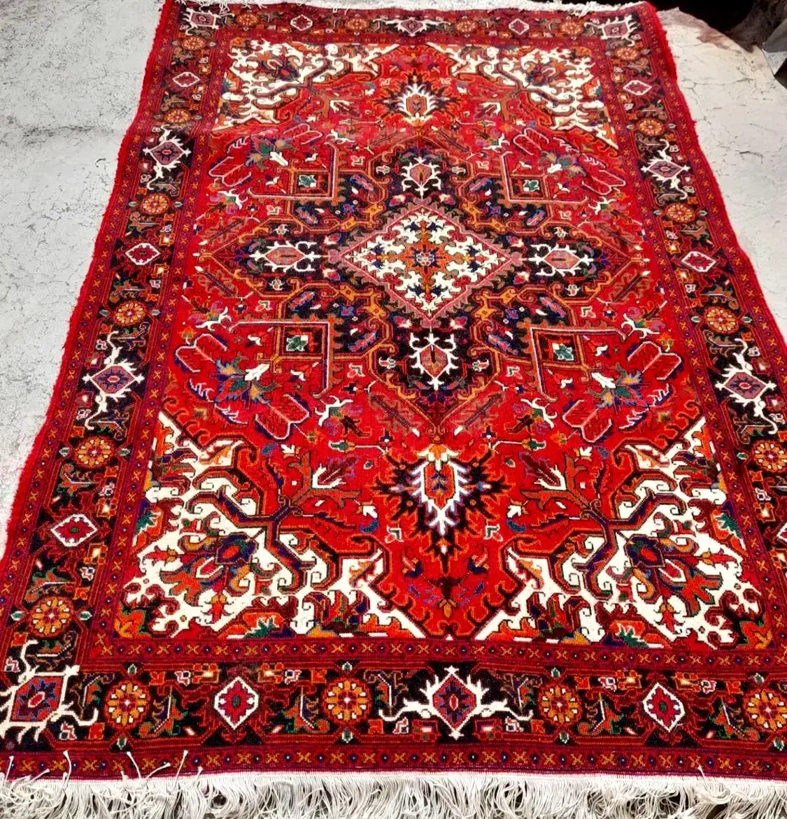 فرش دست بافت شربیان ۲ عدد شش متری|فرش|کرج, برغان|دیوار