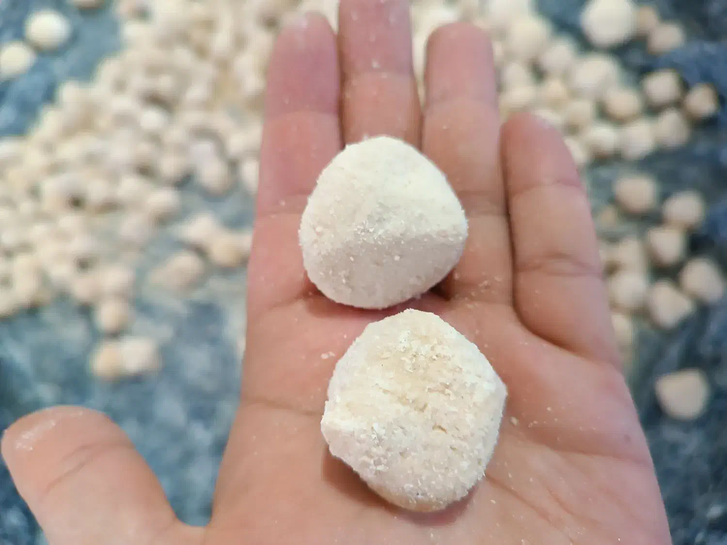 کشک ریز شهربابک کشک درشت|خوردنی و آشامیدنی|یزد, |دیوار