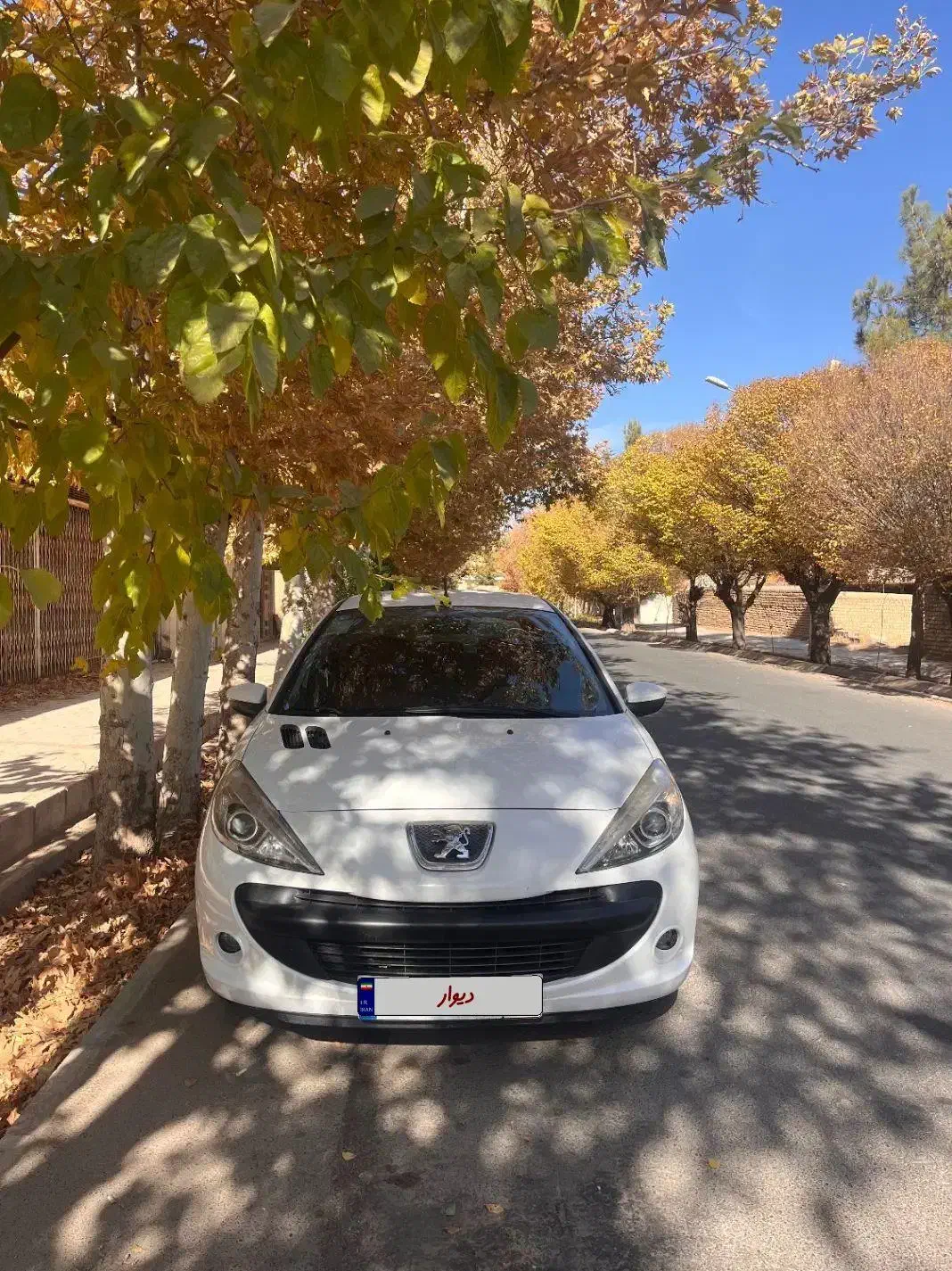 پژو 207هیدرولیک آخر 1401|خودرو سواری و وانت|قمصر, |دیوار