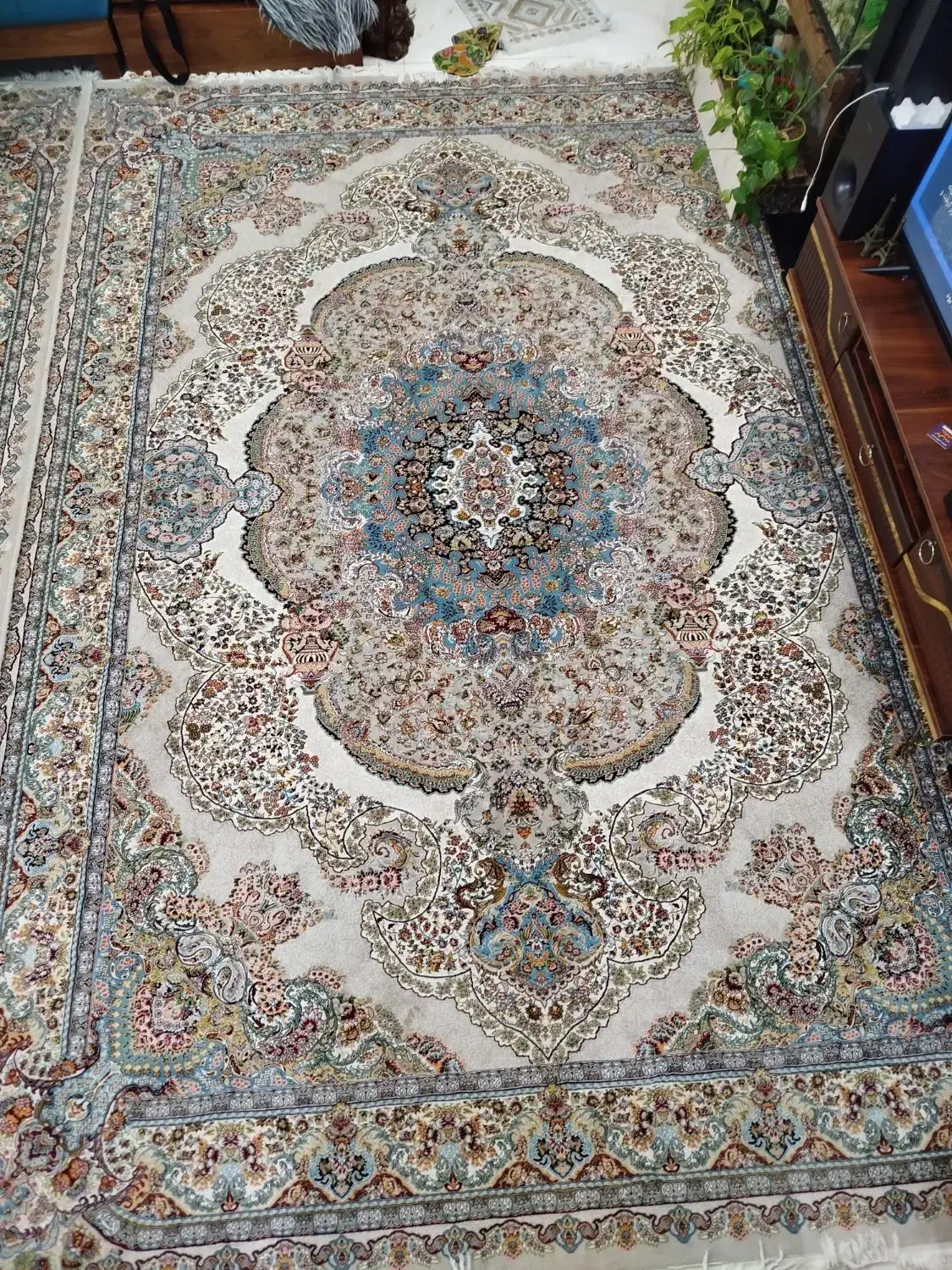 قالی نه متری|فرش|کرمان, |دیوار