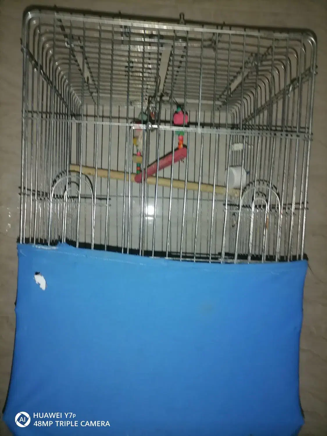 قفس 3310|لوازم جانبی حیوانات|مشکیندشت, |دیوار