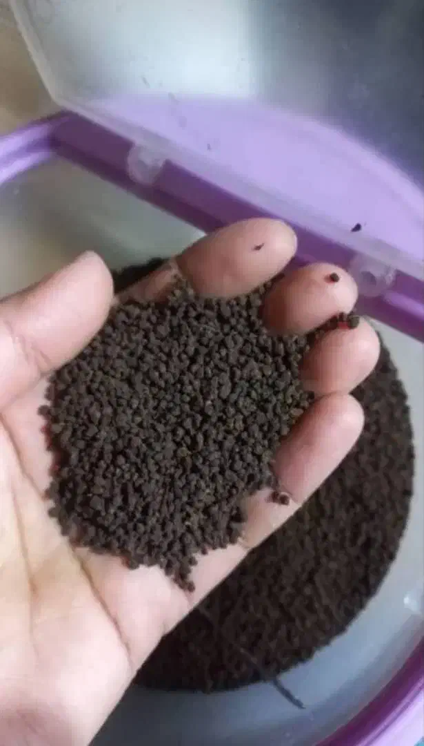 چای کله مورچه ای هندوستان|خوردنی و آشامیدنی|تهران, آرژانتین|دیوار