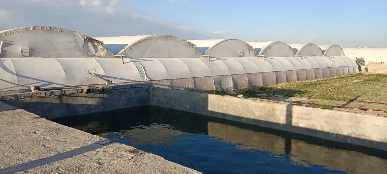 فروش گلخانه با تخفیف میلیاردی|فروش دفتر صنعتی، کشاورزی، تجاری|اصفهان, میرعماد|دیوار