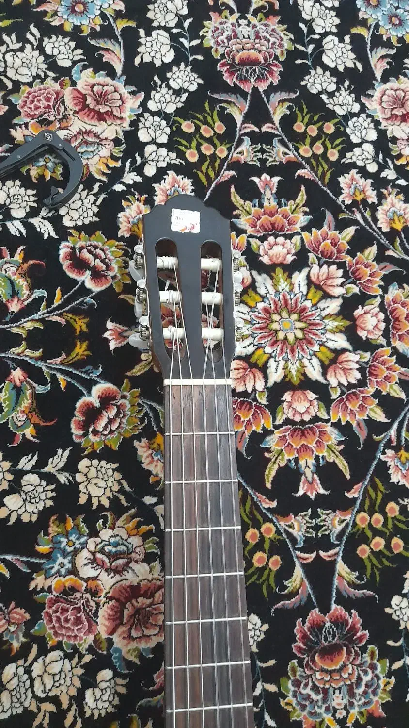 گیتار الحمراه c2|گیتار، بیس، امپلیفایر|بیرجند, |دیوار