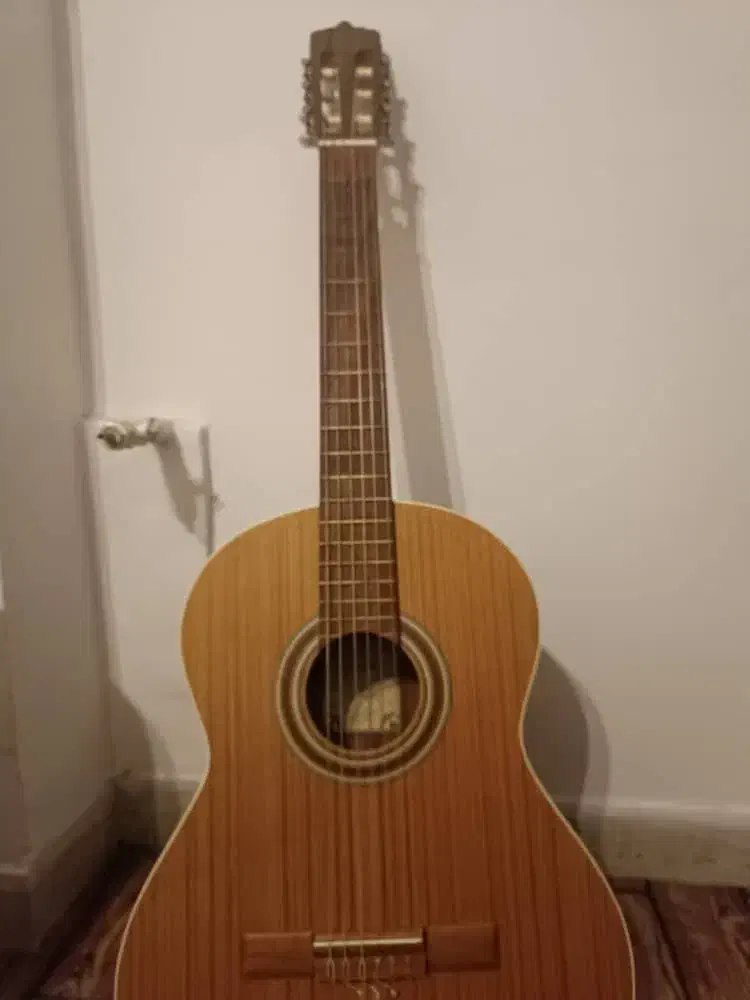 گیتار پارسی m5|گیتار، بیس، امپلیفایر|شیراز, دکتر حسابی|دیوار