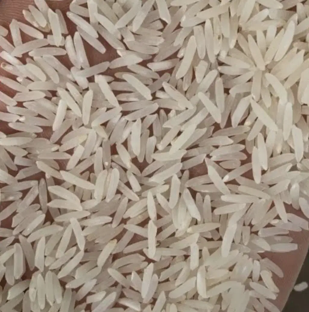 برنج فجر سوزنی .خوش عطر بو .سورت شده ..|خوردنی و آشامیدنی|گرگان, |دیوار
