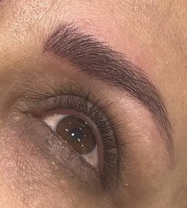 میکروبلدینگ و بن مژه و شیدینگ لب|خدمات آرایشگری و زیبایی|مشهد, انصار|دیوار