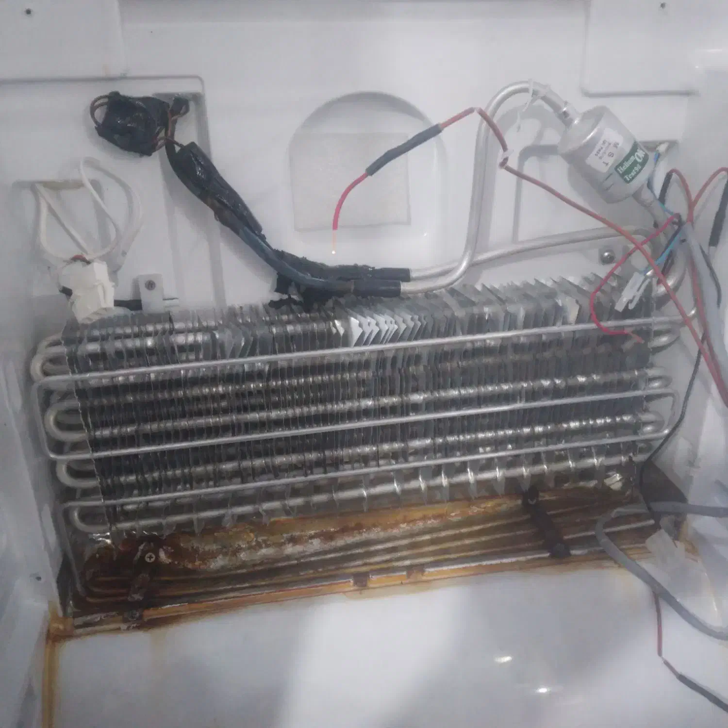 تعمیر یخچال و کولر|خدمات پیشه و مهارت|شوش, |دیوار