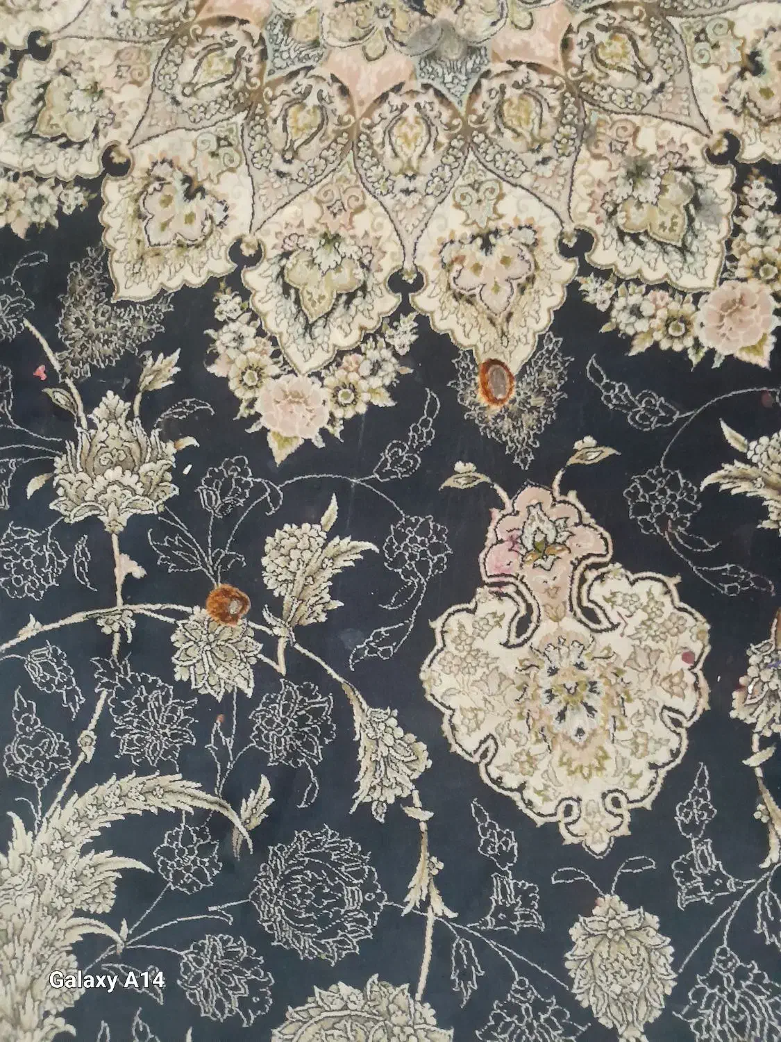 قالی|فرش|اهواز, شهرک دانشگاه|دیوار