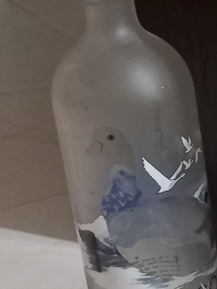 بطری های شیشه ای تزیینی|صنایع دستی و سایر لوازم تزئینی|سمنان, |دیوار