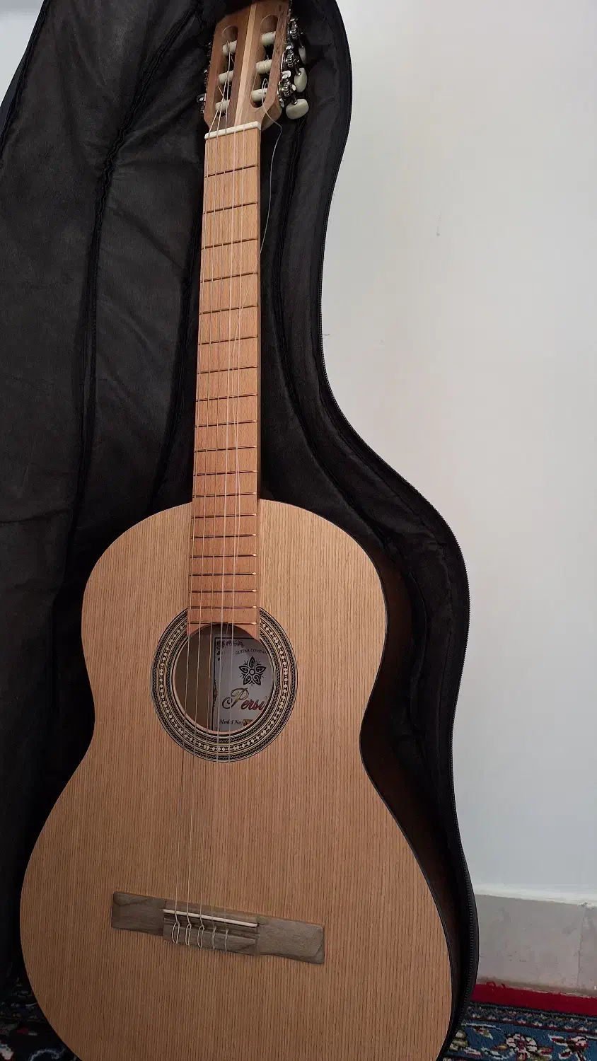 گیتار پرشین|گیتار، بیس، امپلیفایر|درگزین, |دیوار