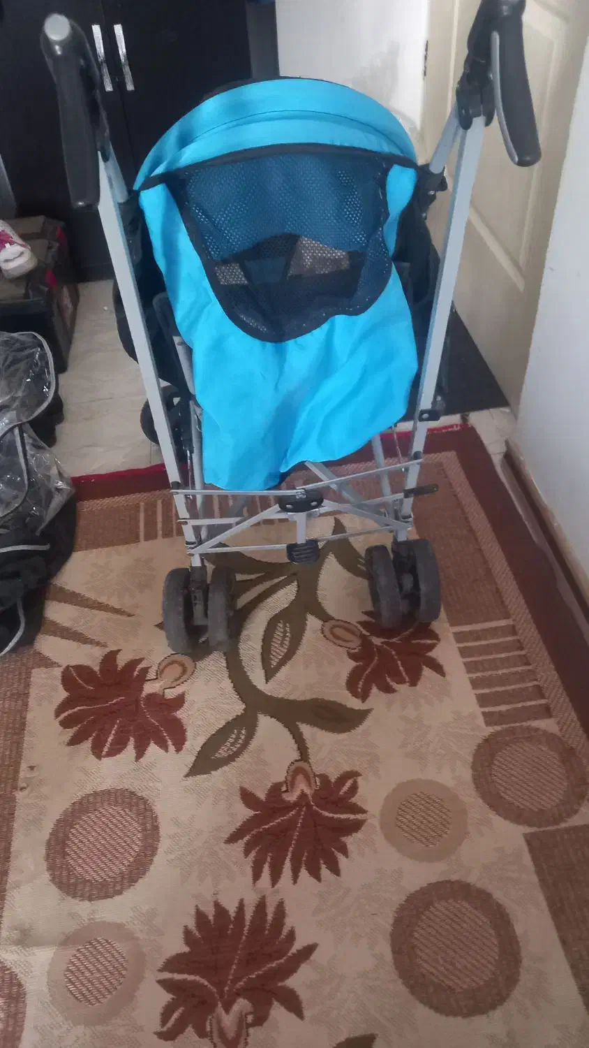 کالسکه دلیجان عصایی|کالسکه و لوازم جانبی|رودهن, |دیوار