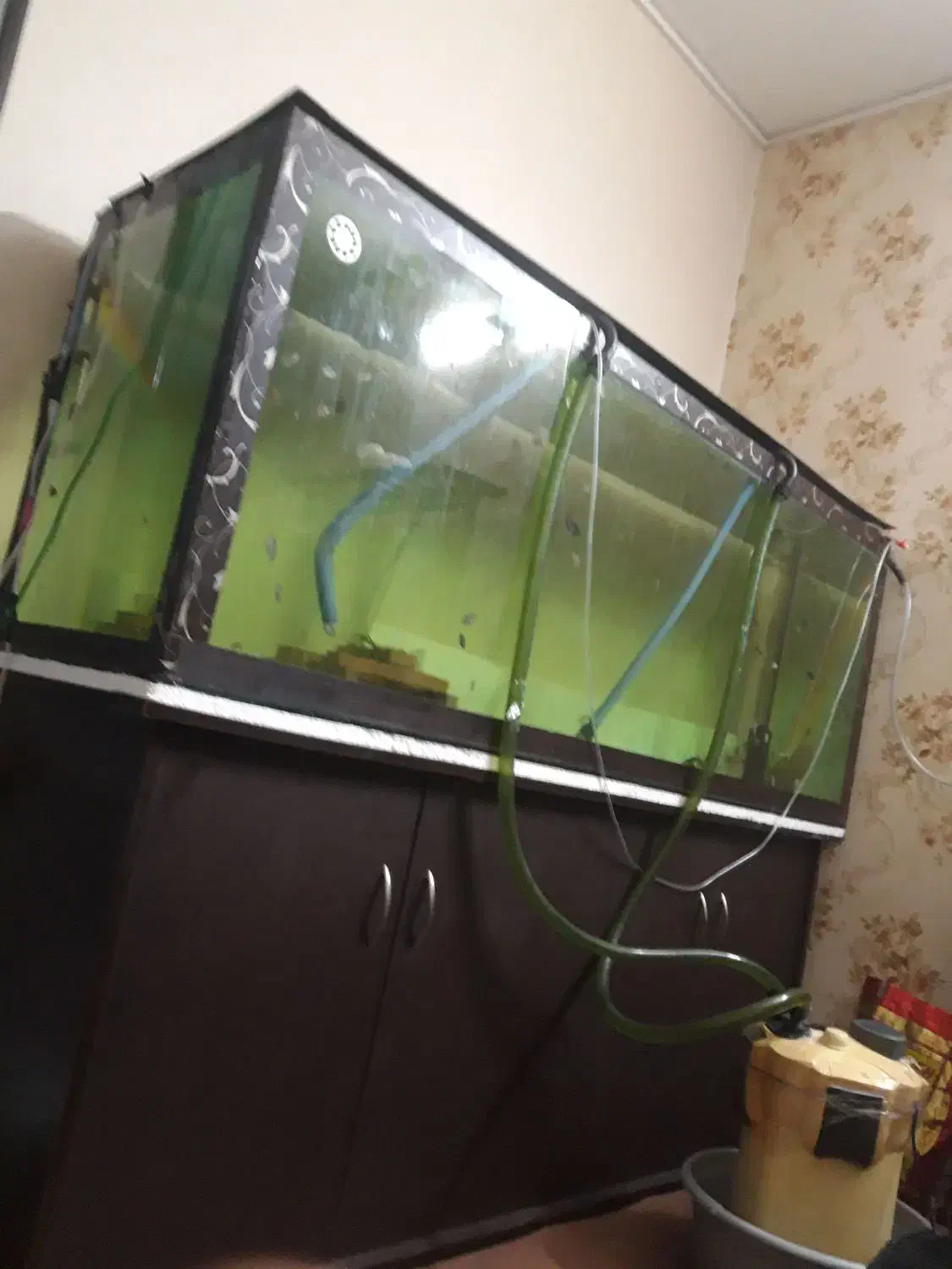 آکواریوم بزرگ ماهیران به همراه میز|ماهی|اصفهان, باغ کاران|دیوار