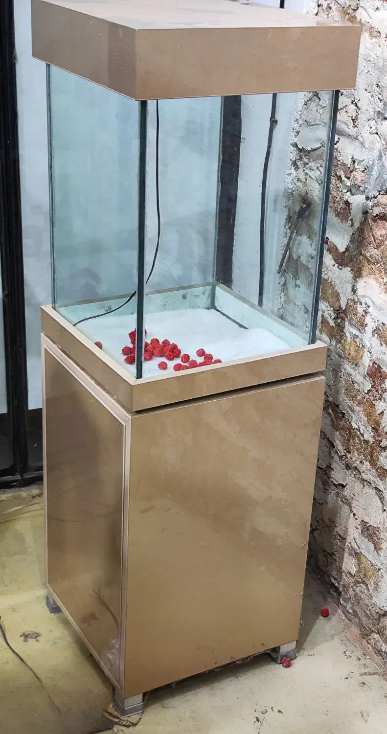 فروش ویترین مغازه|فروشگاه و مغازه|کرج, برغان|دیوار