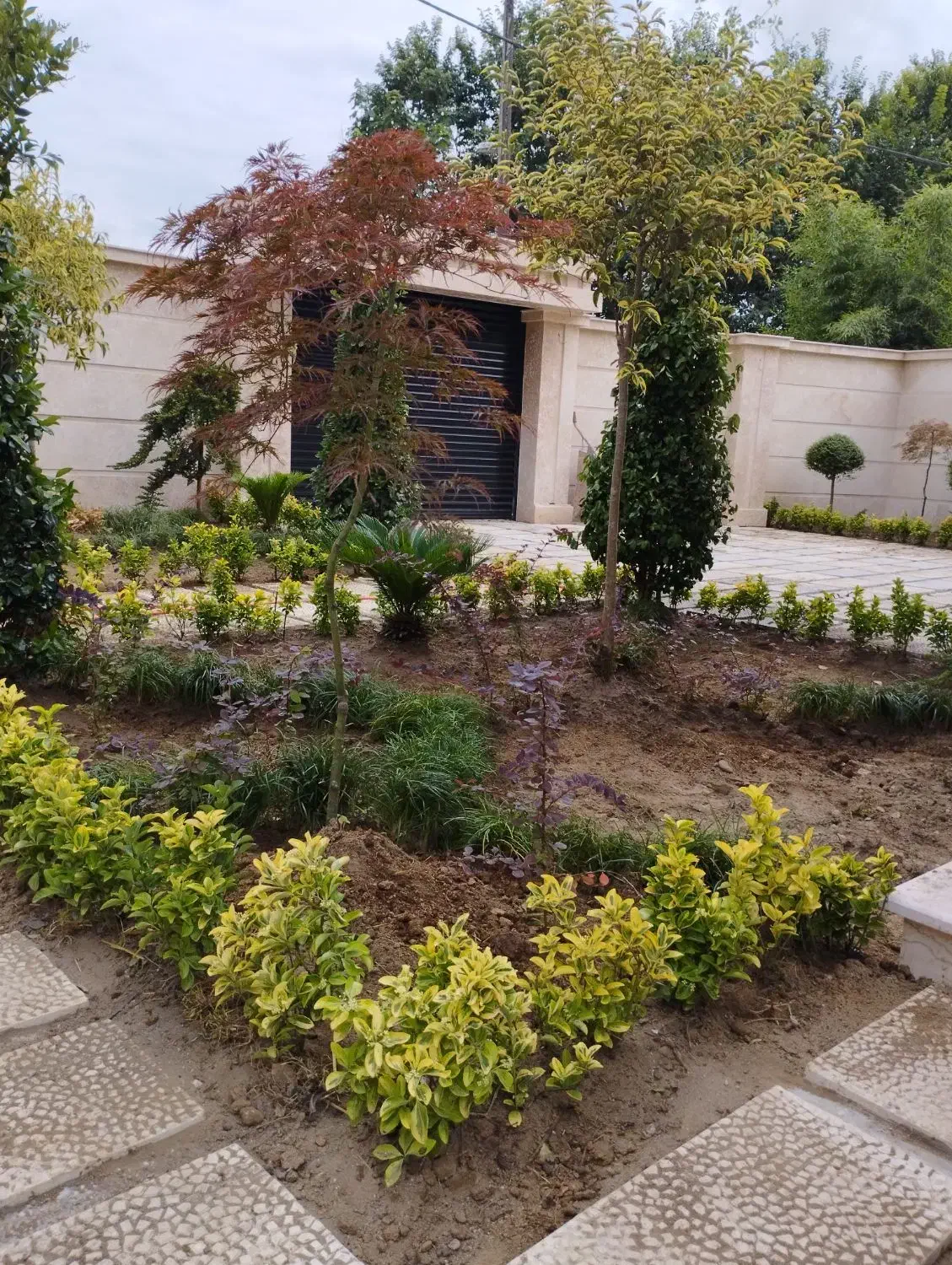 باغبانی،درختکاری و طراحی فضای سبز|خدمات باغبانی و درختکاری|صومعهسرا, |دیوار