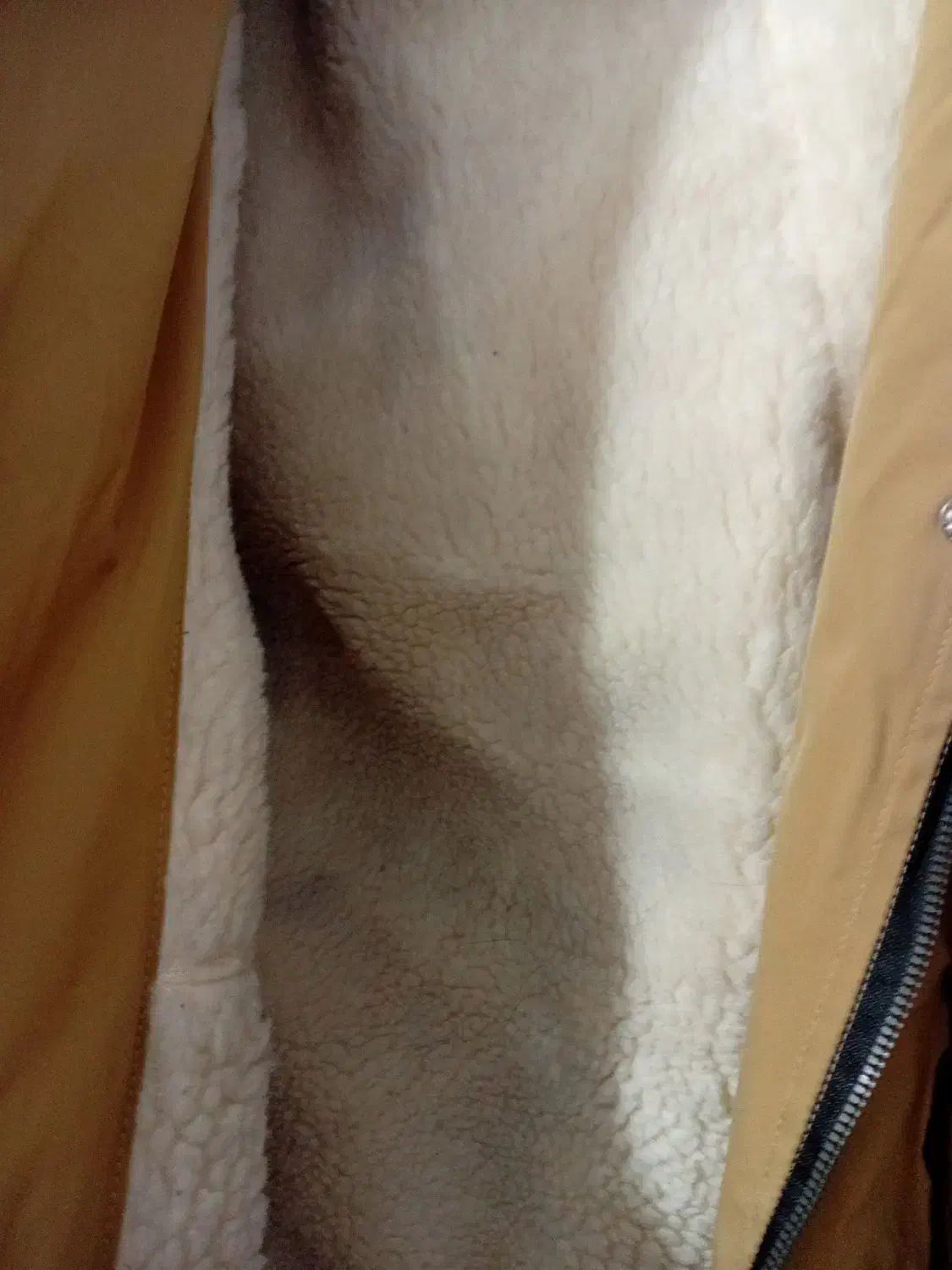 کاپشن و پافر|لباس|شیراز, ماه فیروزان|دیوار