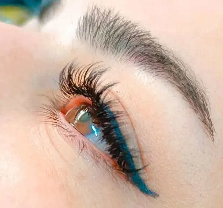 مژه و لیفت|خدمات آرایشگری و زیبایی|تربت جام, بیست متری منبع آب|دیوار