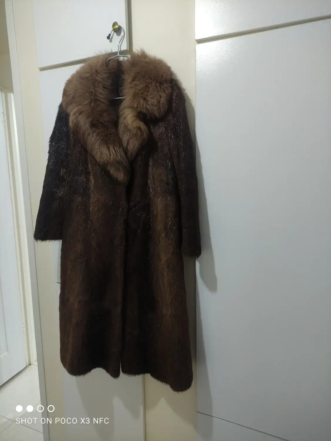 پالتو پوست چیلچیلا اصل|لباس|کرج, انبار مپنا|دیوار