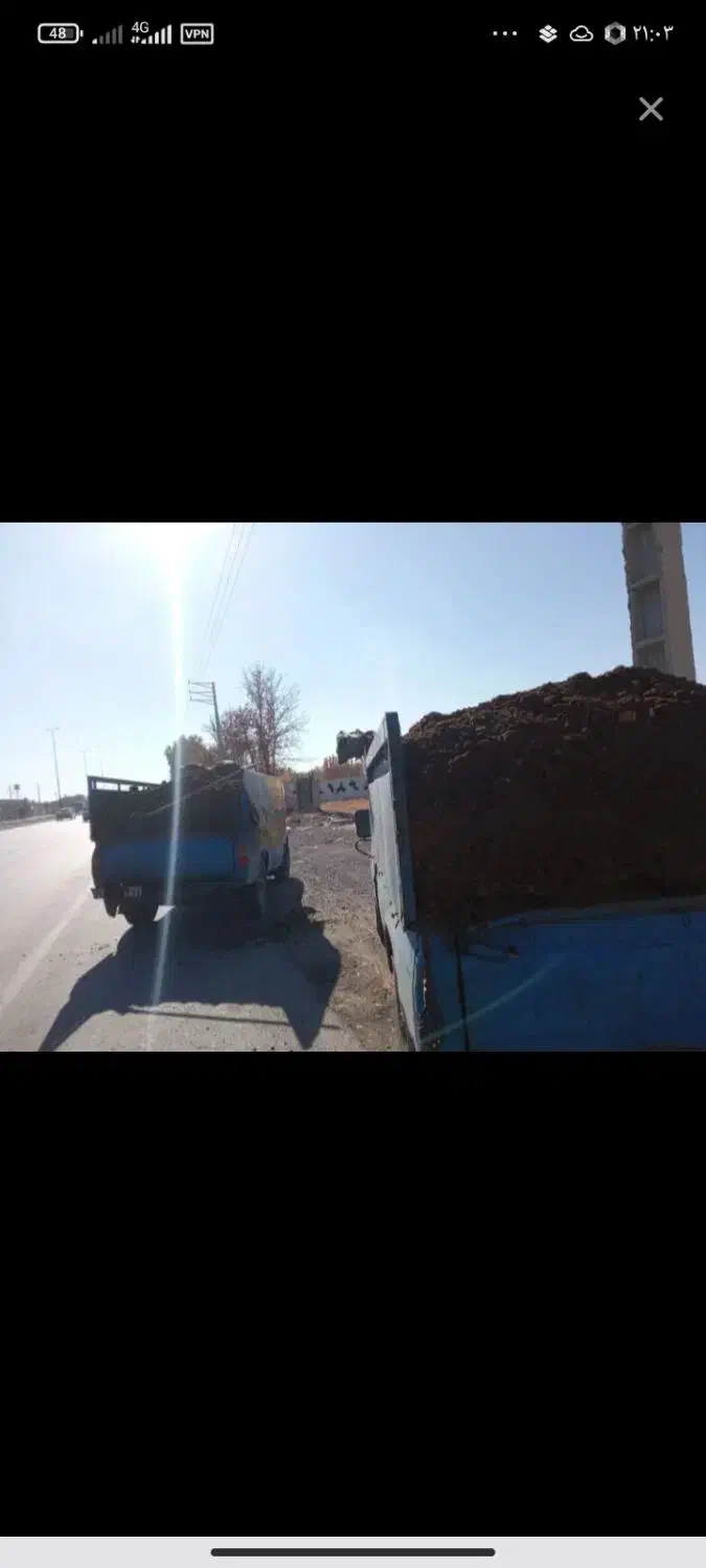 فروشی|گل و گیاه طبیعی|نوشین شهر, |دیوار