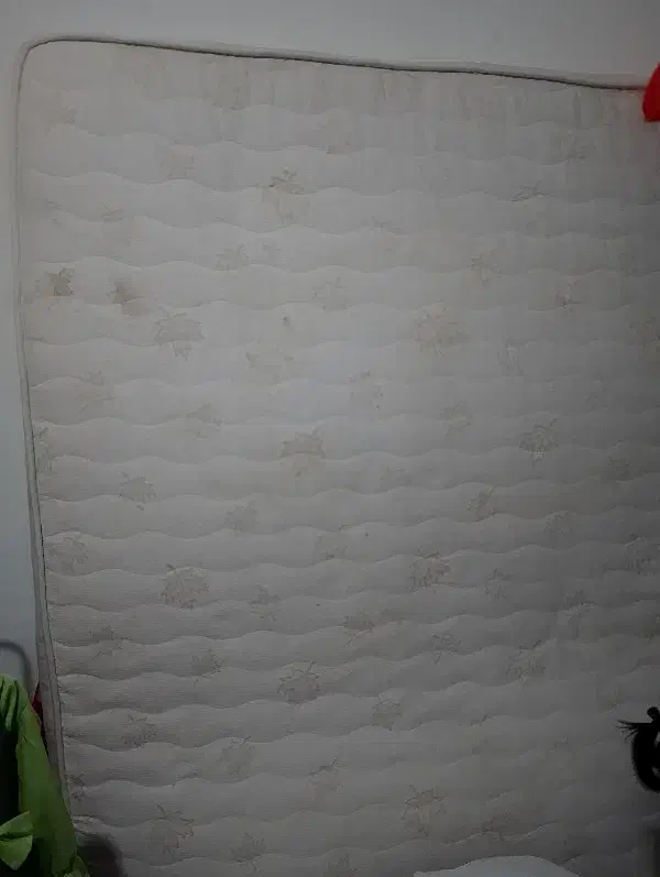 تشک تخت دو نفره فنری|تشک تختخواب|چناران, |دیوار