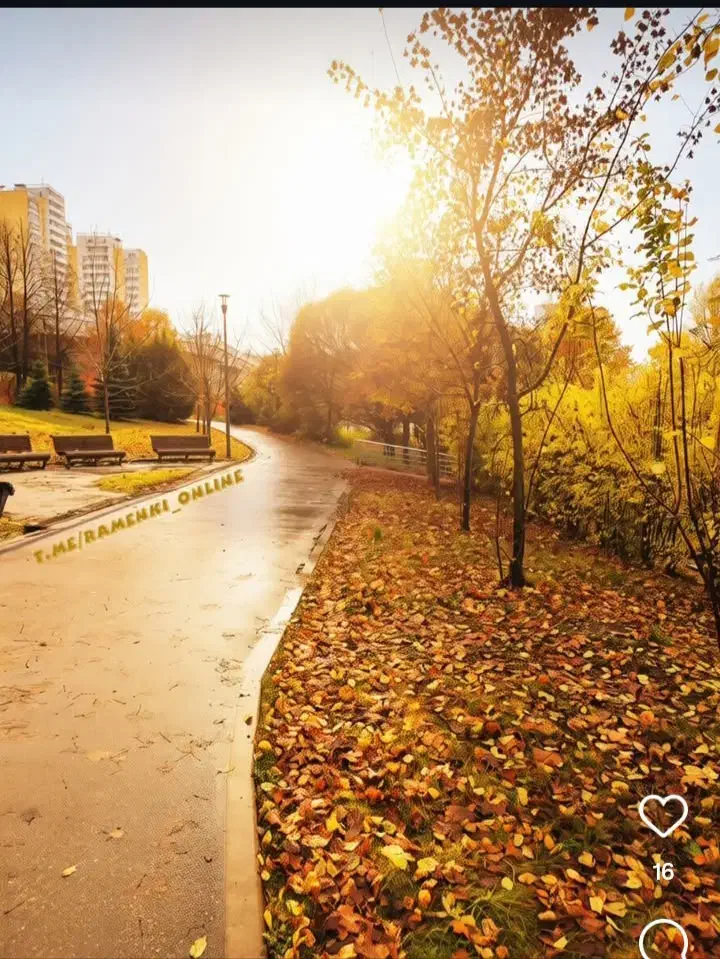 تدریس خصوصی وگروهی زبان انگلیسی توسط دکترای زبان|خدمات آموزشی|کرمانشاه, |دیوار