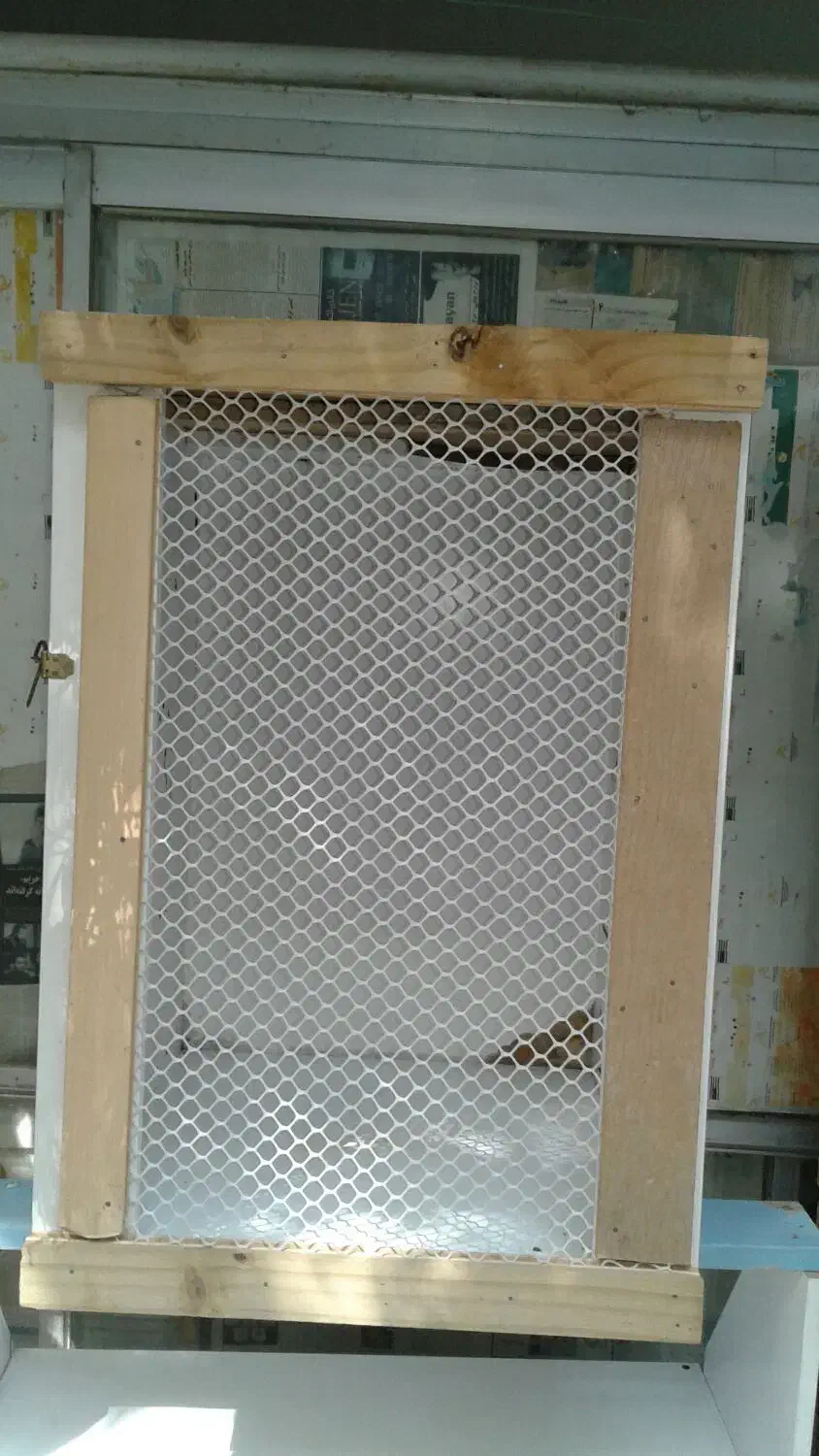 لانه پرنده.جفت.کن.و حیوانات.|لوازم جانبی حیوانات|گرگان, |دیوار