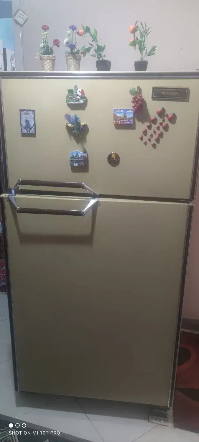 یخچال ۱۸ فوت آمریکایی ادیسون|یخچال و فریزر|شیراز, قدوسی شرقی|دیوار