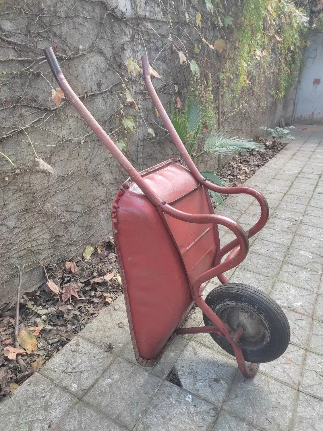 فرغون سالم بدون پوسیدگی|مصالح و تجهیزات ساختمان|رشت, چله خانه|دیوار