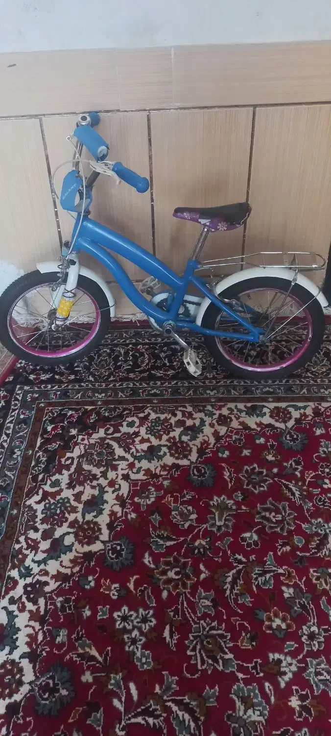 دوچرخه ۱۶|دوچرخه، اسکیت، اسکوتر|یاسوج, |دیوار