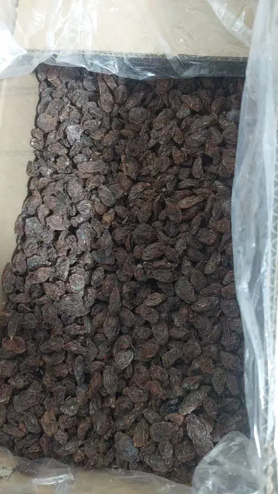 کشمش مویز|عمدهفروشی|ری, ملکآباد|دیوار