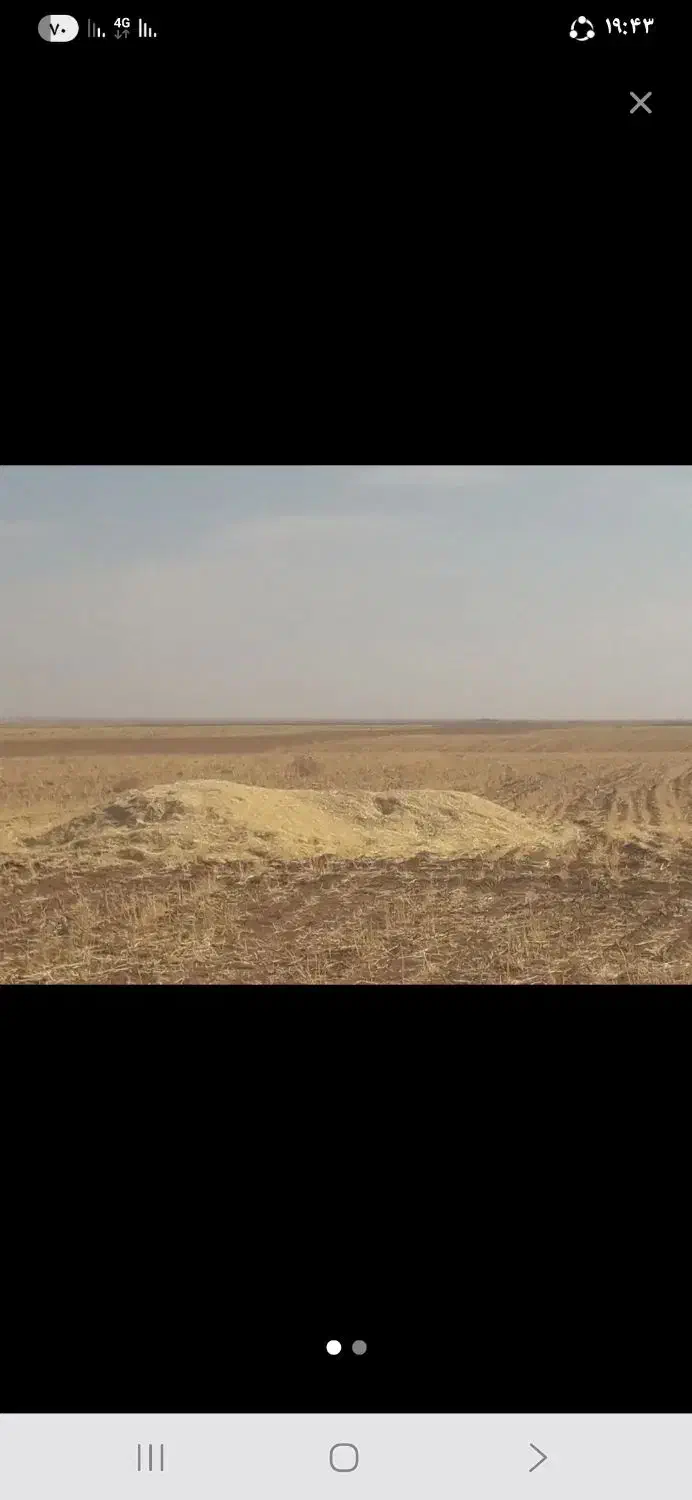 خریدارکاه|خدمات باغبانی و درختکاری|بهبهان, |دیوار