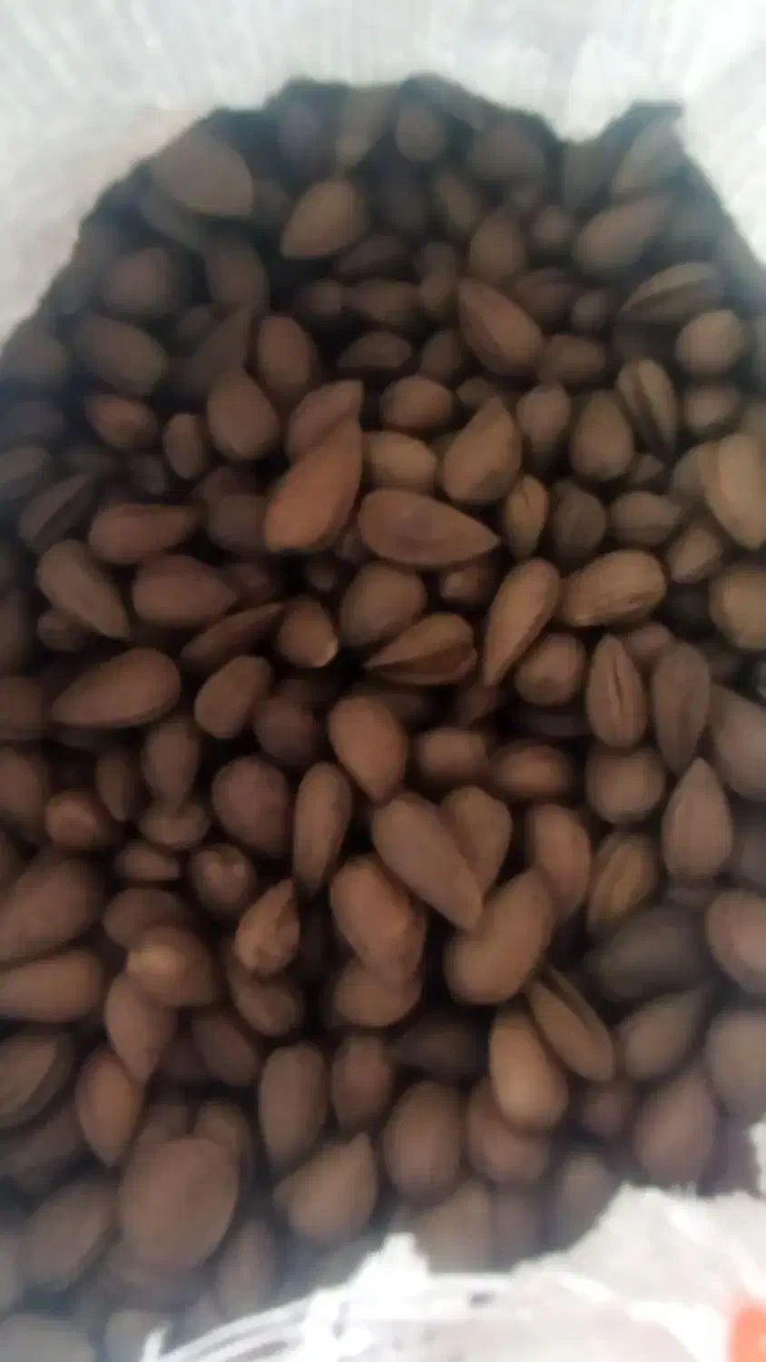 بادام شیرین درشت نرم گندم برشته تازه.ترشی انارشیمن|خوردنی و آشامیدنی|ایذه, |دیوار