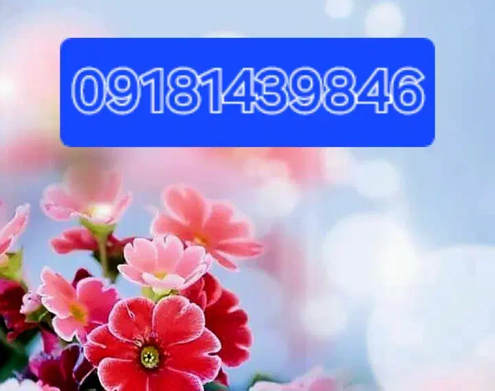 سیمکارت دائمی|سیم‌کارت|آبدانان, |دیوار