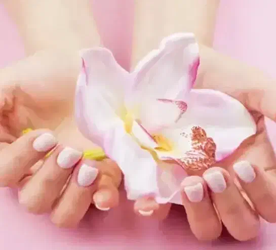 جشنواره زیبایی زنان با ۶۰ درصد تخفیف|خدمات آرایشگری و زیبایی|تهران, حکمت|دیوار