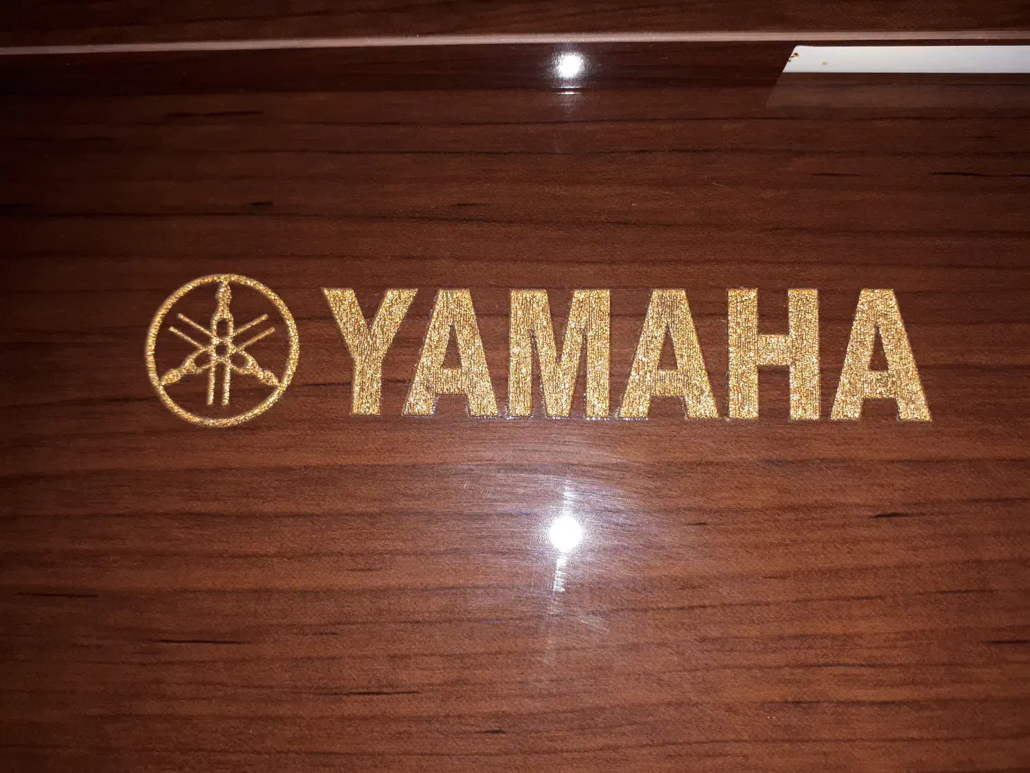 پیانو یاماها|پیانو، کیبورد، آکاردئون|اصفهان, مسجد مصلی|دیوار