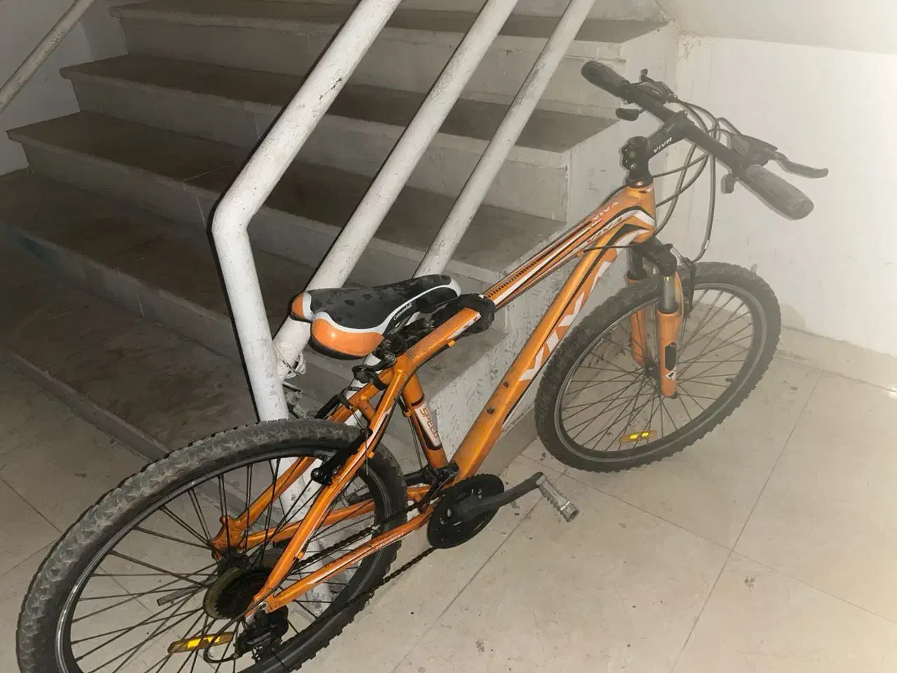 دوچرخه ویوا|دوچرخه، اسکیت، اسکوتر|کیش, |دیوار