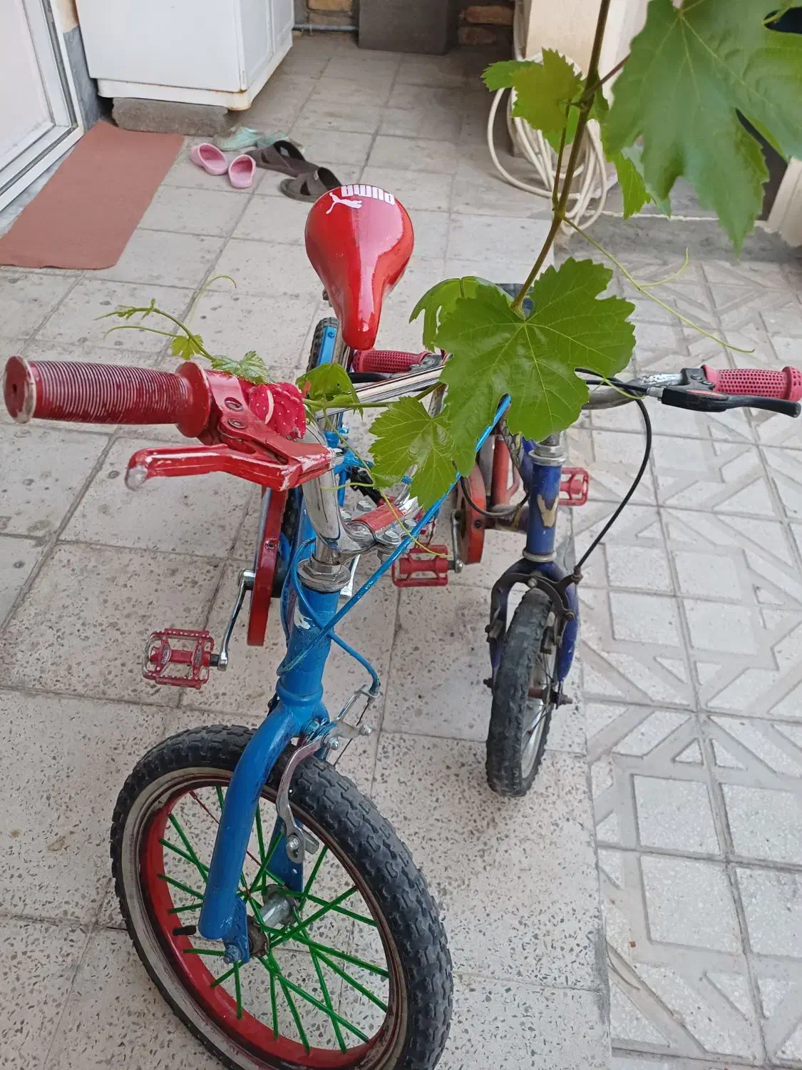 ۲عدد دوچرخه ۱۲ و ۱۶  در زیباشهر|دوچرخه، اسکیت، اسکوتر|قزوین, |دیوار