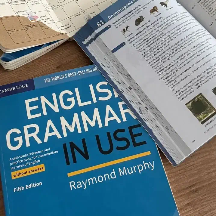 آموزش خصوصی زبان انگلیسی ، مکالمه پیشرفته|خدمات آموزشی|کرج, شهرک نهال و بذر|دیوار